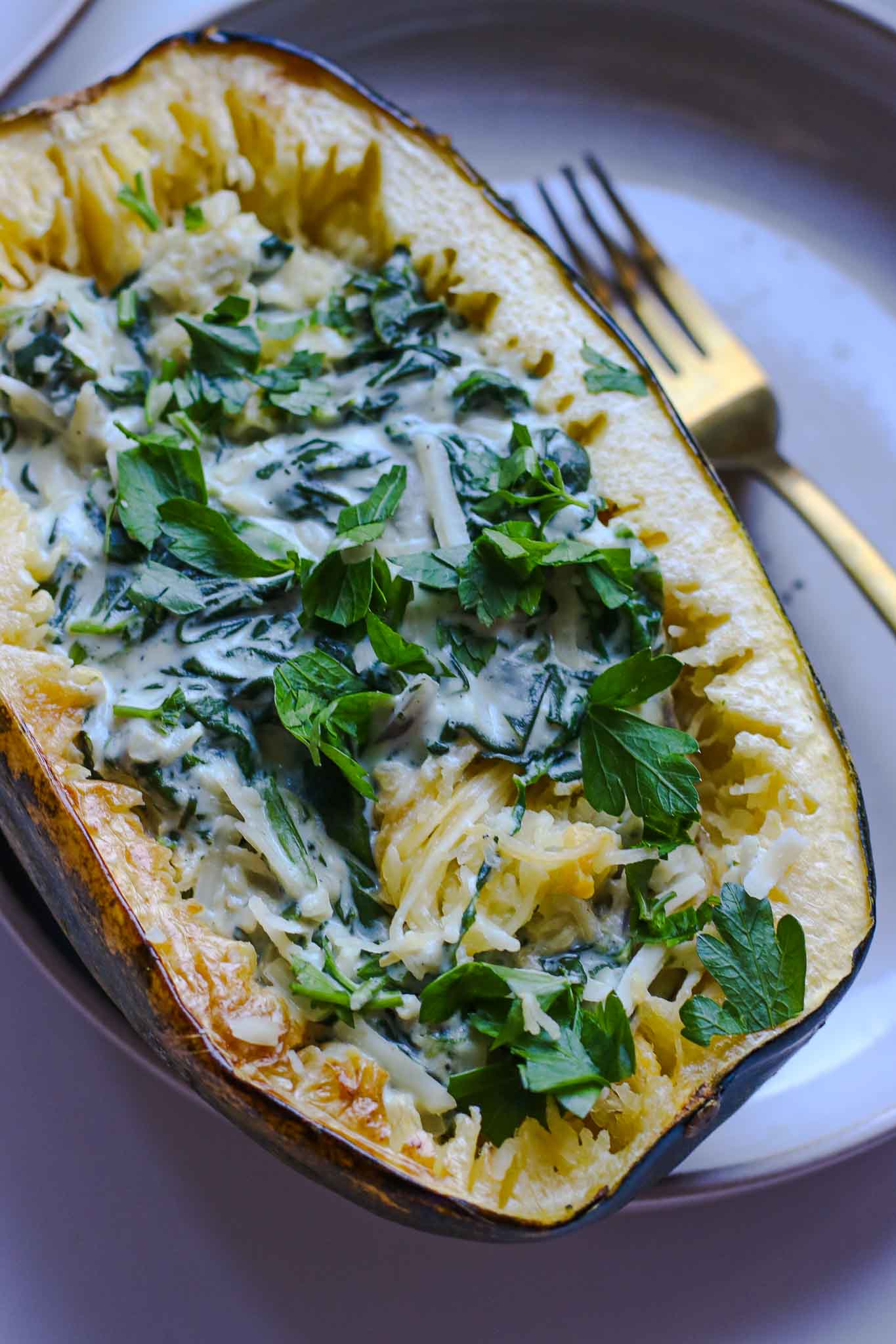 kürbisrezept